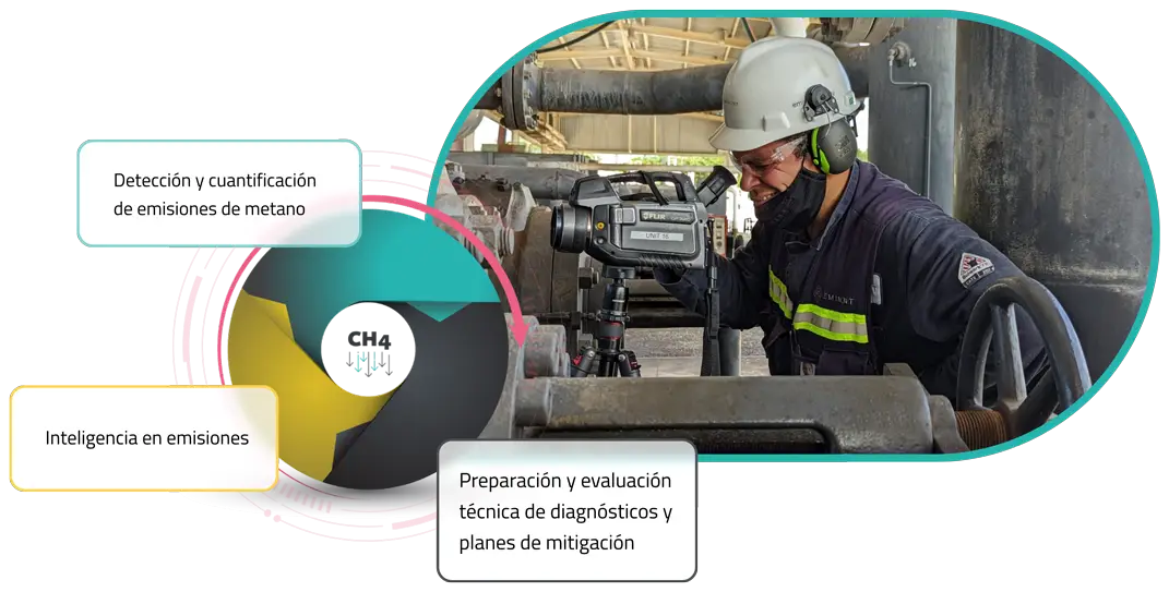 Servicios-IMG-F-web-1